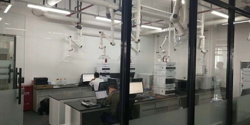 閔行獨(dú)棟1350平可分割精裝修廠房 一站式解決倉儲(chǔ)、生產(chǎn)與土地需求